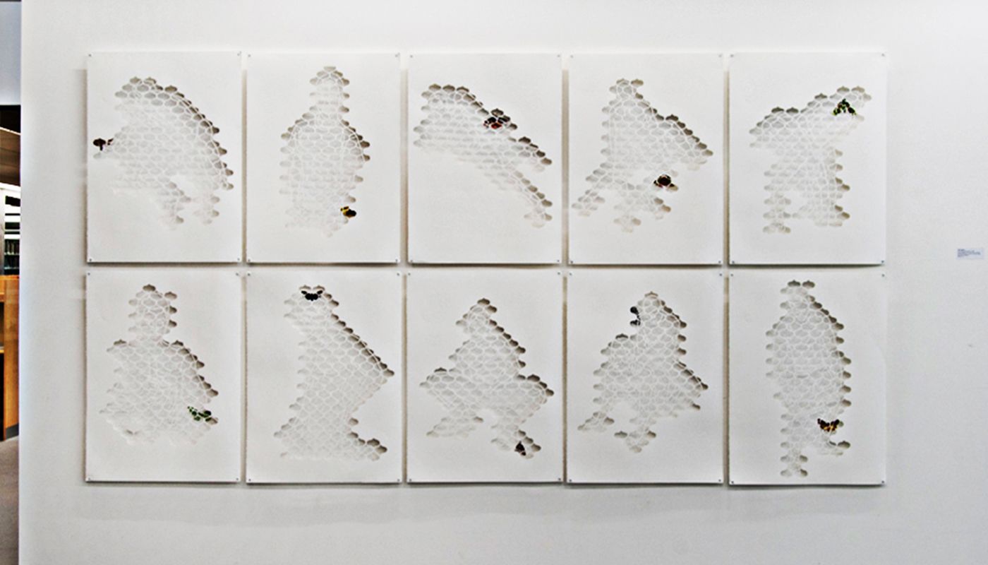 Installation grid of paper cuts.
